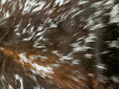 Dark Brown Cowhide Rug - Medium